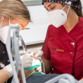 Disyuntor dental: clave en la ortodoncia interceptiva infantil